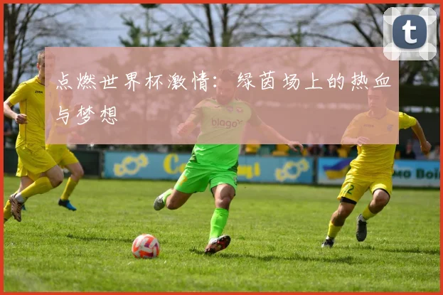 点燃世界杯激情：绿茵场上的热血与梦想
