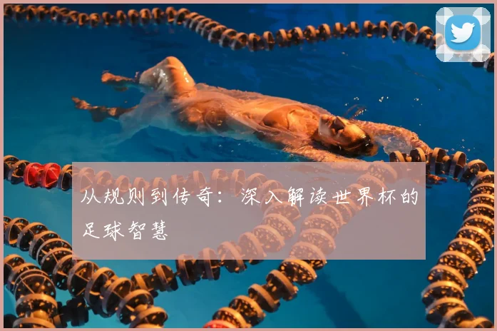 从规则到传奇：深入解读世界杯的足球智慧