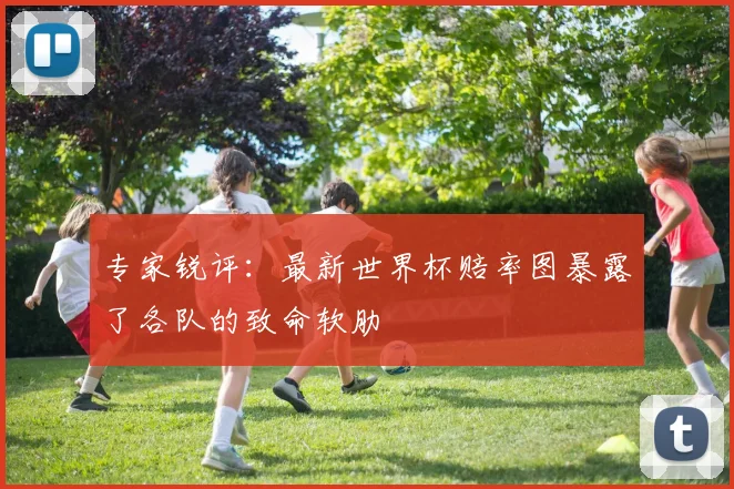 专家锐评：最新世界杯赔率图暴露了各队的致命软肋