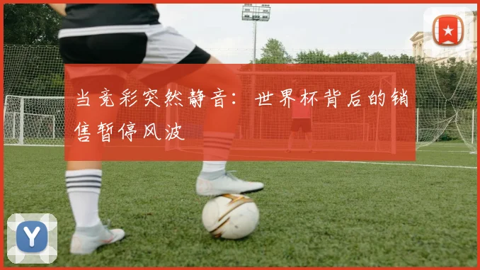 当竞彩突然静音：世界杯背后的销售暂停风波