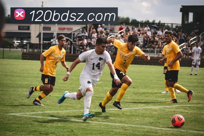 澳门正规电子游戏平台品牌故事